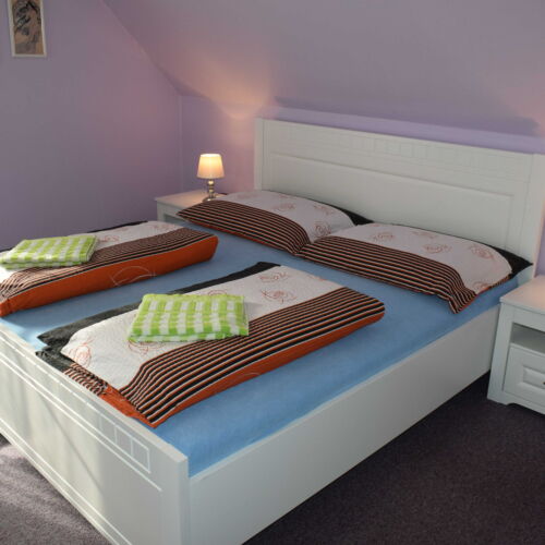 Pokoj se sprchou  s manželskou postelí