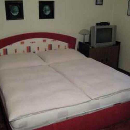 Pokoj se sprchou  s manželskou postelí (s možností přistýlky)