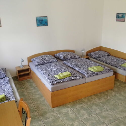 Camera tripla cu duș cu chicinetă comună