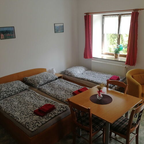 Apartament cu duș cu chicinetă comună pentru 3 pers. (se poate solicita pat suplimentar)