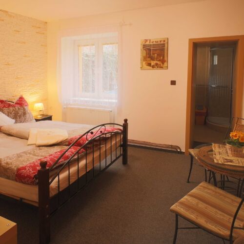 Pokoj se sprchou  pro 2 os.