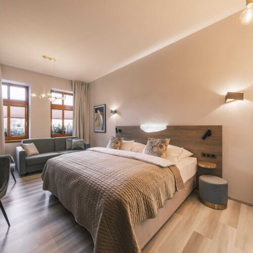 Camera dubla cu duș cu chicinetă comună (se poate solicita pat suplimentar)