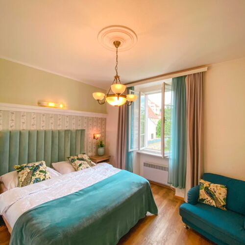 Apartament 2-osobowy Deluxe z prysznicem z 1 pomieszczeniem sypialnianym (możliwa dostawka)