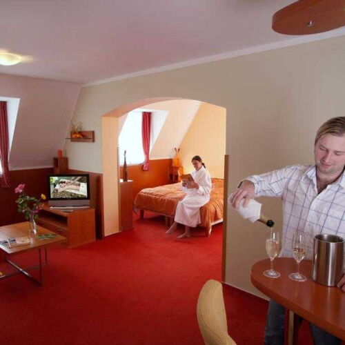 Apartman se sprchou  pro 2 os. (s možností přistýlky)