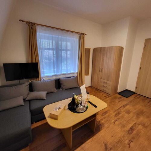 Pokoj se sprchou se společnou kuchyňkou pro 2 os.