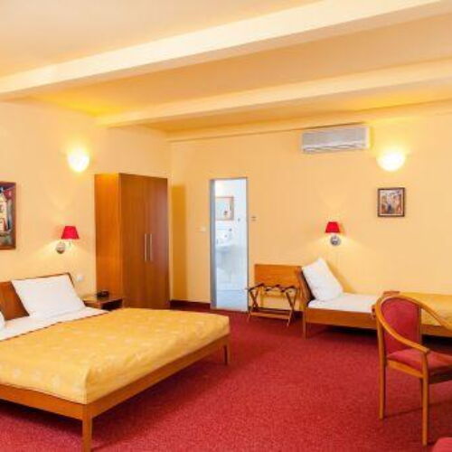 Standard Pokoj se sprchou pro 3 os.