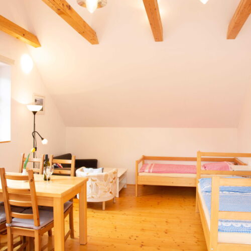 Pokoj pro 4 os. (s možností přistýlky)