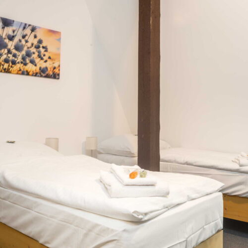 Pokoj se sprchou s manželskou postelí v podkroví