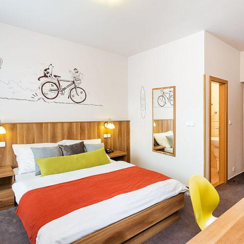 Standard Pokoj s koupelnou s manželskou postelí