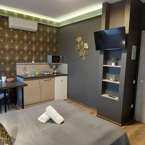 Apartament 2-osobowy z balkonem z własną kuchnią z 1 pomieszczeniem sypialnianym