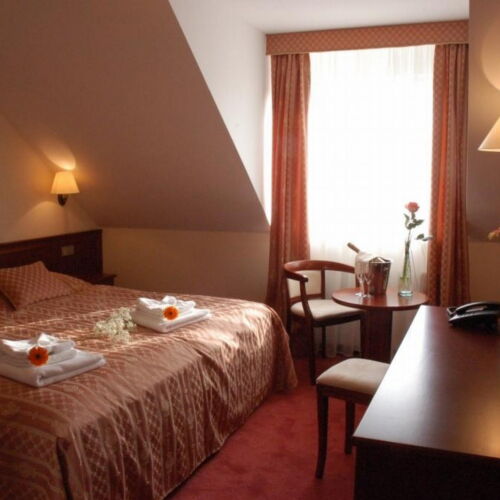 Pokoj se sprchou  s manželskou postelí (s možností přistýlky)