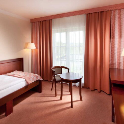 Pokój 1-osobowy Standard z prysznicem