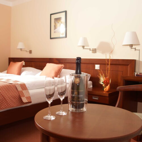 Pokój 2-osobowy Standard z prysznicem (możliwa dostawka)