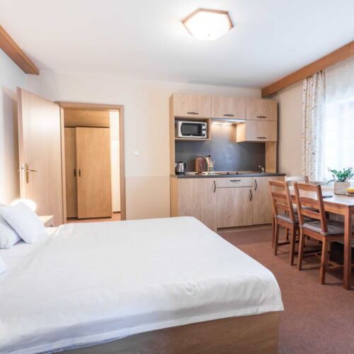 Apartman se sprchou s vlastní kuchyňkou pro 4 os.