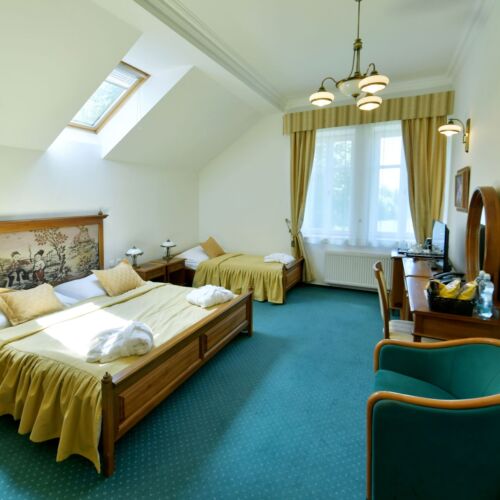 Deluxe Park View Double Room