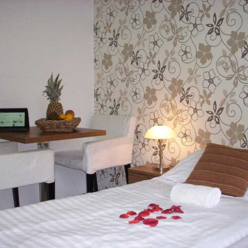 Deluxe Pokoj se sprchou s manželskou postelí