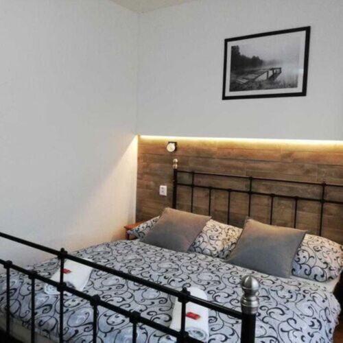 Comfort Double Room with Shower (extra bed available)