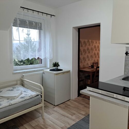 Deluxe Pokoj se sprchou pro 4 os.