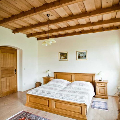 Pokoj se sprchou  pro 2 os. (s možností přistýlky)