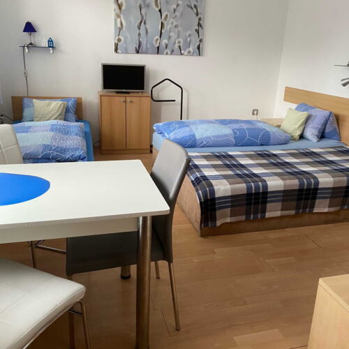 Pokoj se sprchou  pro 3 os.