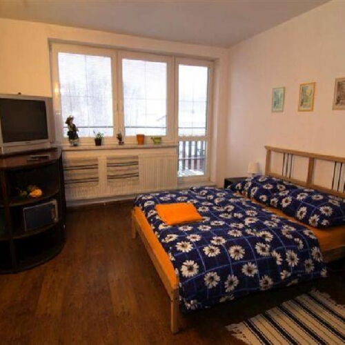 Studio 1-Room Apartment for 2 Persons with Shower (extra beds available)