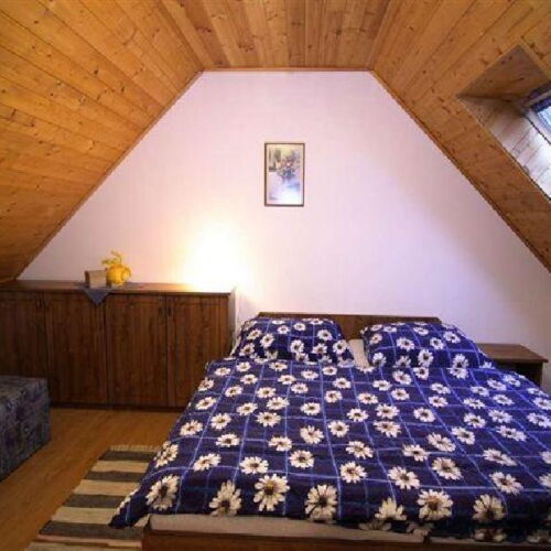 1-Room Apartment for 2 Persons with Shower and Kitchenette (extra beds available)