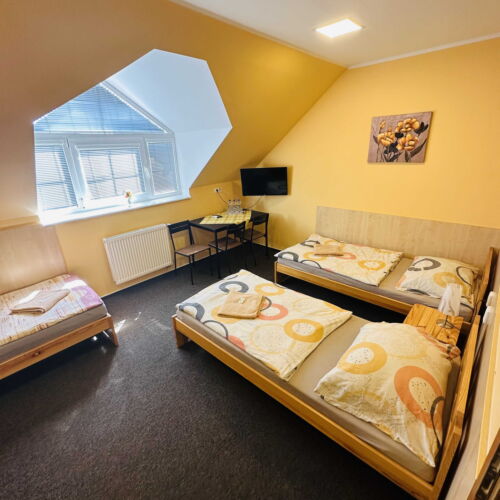 Camera tripla cu duș cu aer condiționat