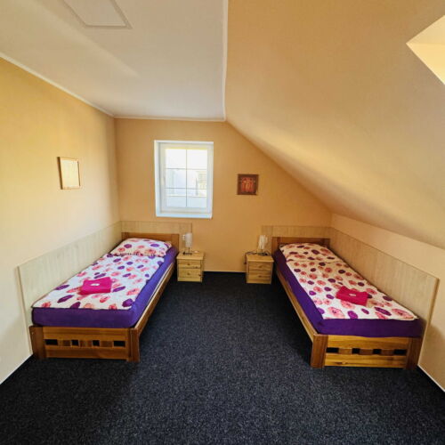 Camera twin la mansardă cu duș