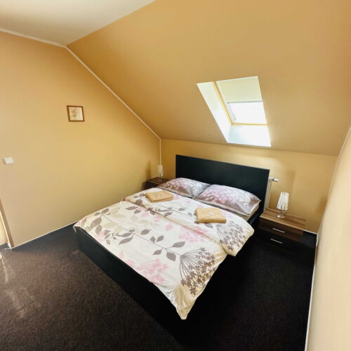 Camera twin cu duș cu aer condiționat