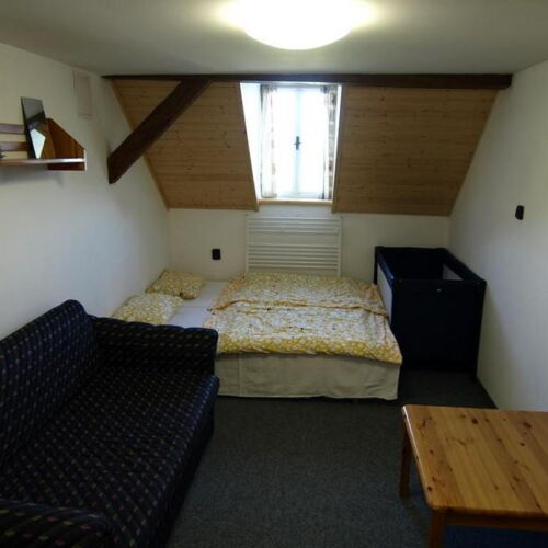 Pokoj se sprchou  pro 3 os.