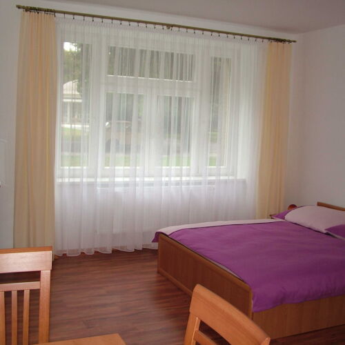 Pokoj se sprchou  pro 3 os.