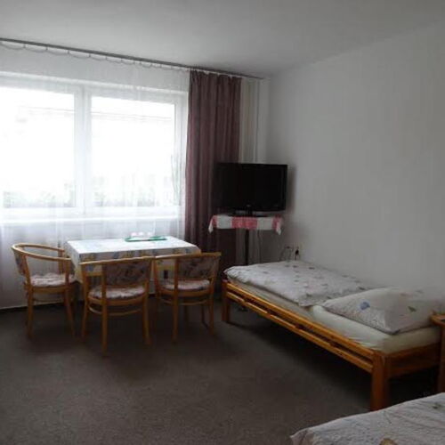 Zuhanyzós franciaágyas szoba (pótágyazható)