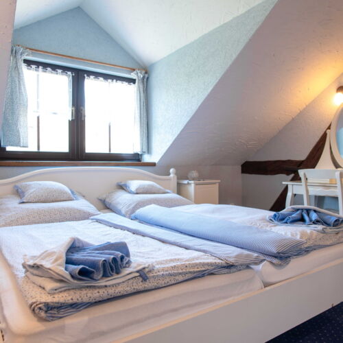 Standard Pokoj se sprchou s manželskou postelí