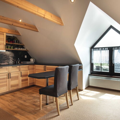 Studio Apartman se sprchou s manželskou postelí s 1 ložnicí (s možností přistýlky)