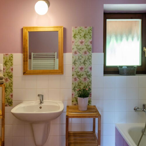 Apartman se sprchou s vlastní kuchyňkou pro 4 os. (s možností přistýlky)