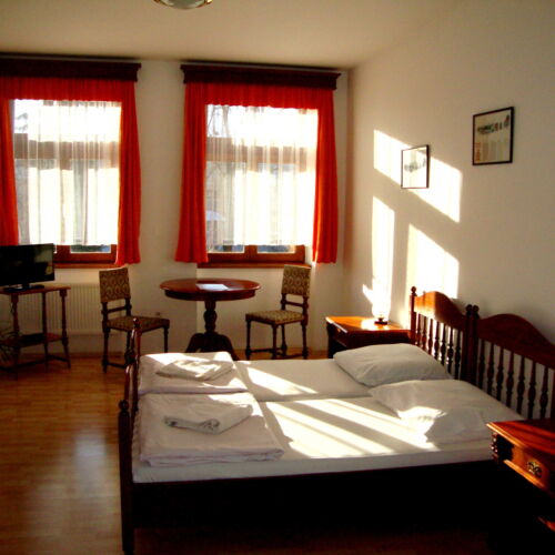 Pokoj se sprchou  s manželskou postelí (s možností přistýlky)