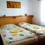 Dvoulůžkový pokoj - manželská postel