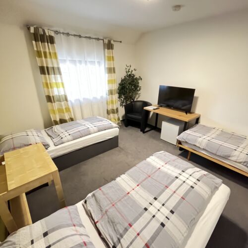 Air Conditioned Triple Room with Shower