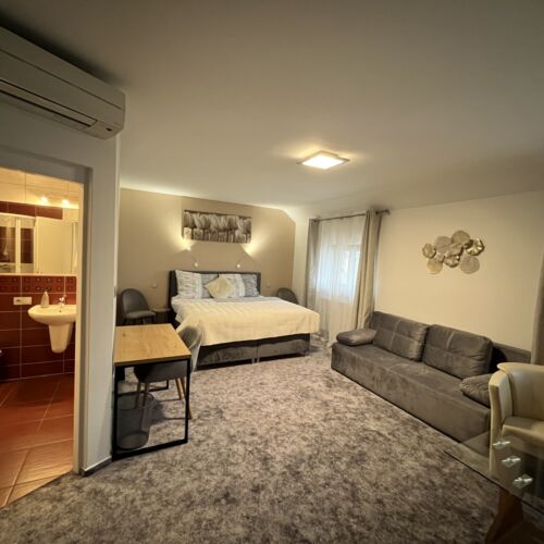 Deluxe 1-Room Apartment for 4 Persons