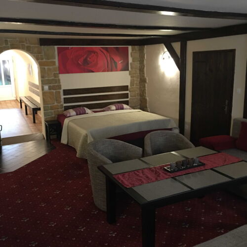 Apartament 2-osobowy z prysznicem z aneksem kuchennym (możliwa dostawka)