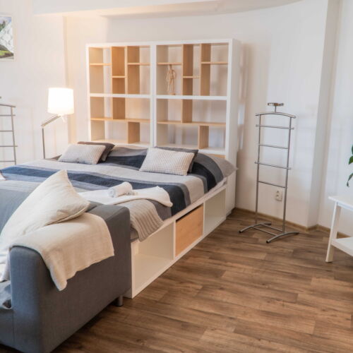 Camera twin deluxe cu duș (se poate solicita pat suplimentar)