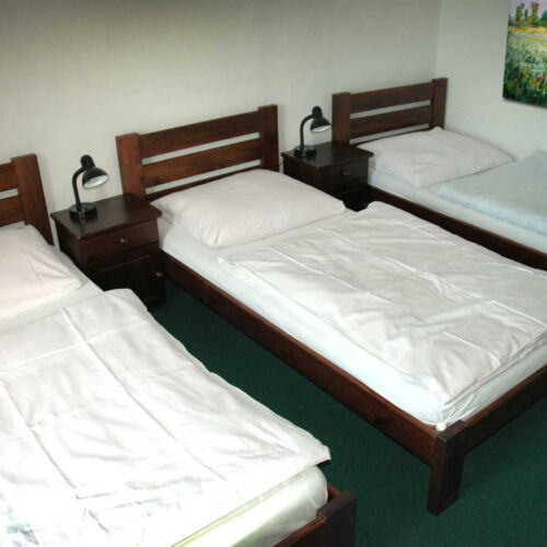 Camera tripla cu duș cu chicinetă comună