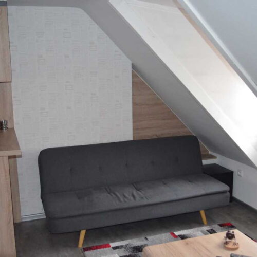 Camera twin cu duș cu chicinetă proprie