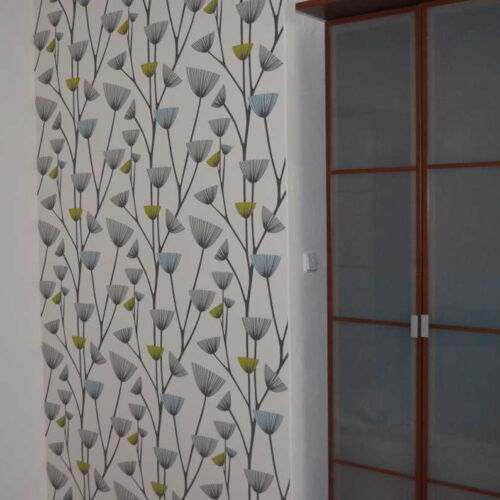 Apartament cu duș cu chicinetă proprie cu 2 camere pentru 4 pers.