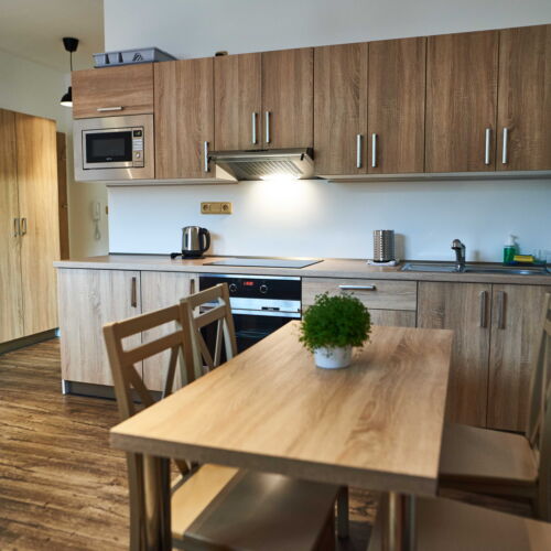 Studio Apartman se sprchou pro 2 os. (s možností přistýlky)