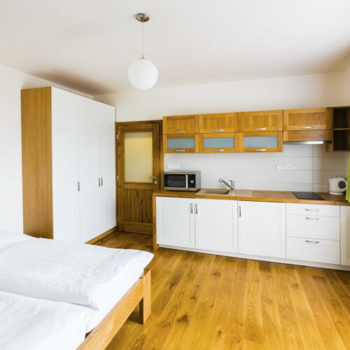 Camera twin cu duș cu chicinetă proprie