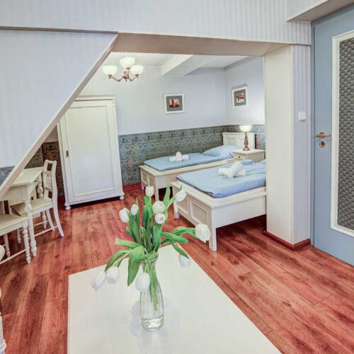 Pokoj se sprchou  pro 2 os.