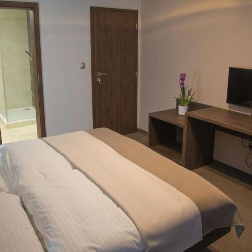 Standard Pokoj s balkónem s manželskou postelí