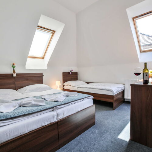 Camera tripla economy cu baie comună