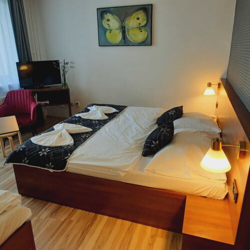 Camera tripla cu balcon cu duș